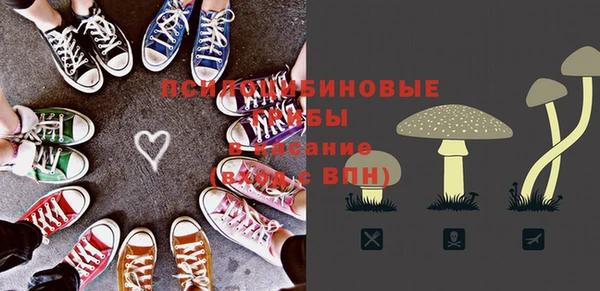 МДМА Козельск