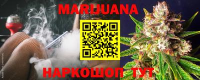 сатива Будённовск