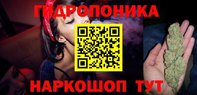 сатива Будённовск