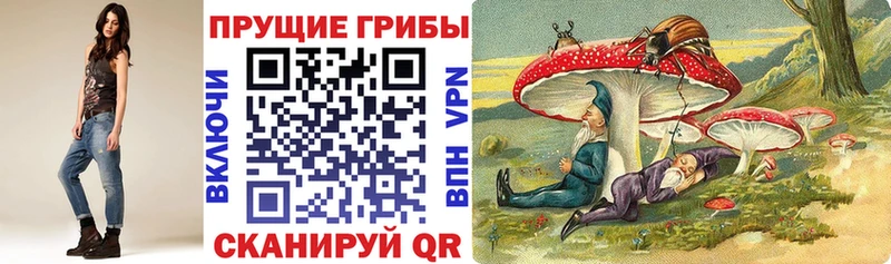 Галлюциногенные грибы GOLDEN TEACHER  Черкесск 
