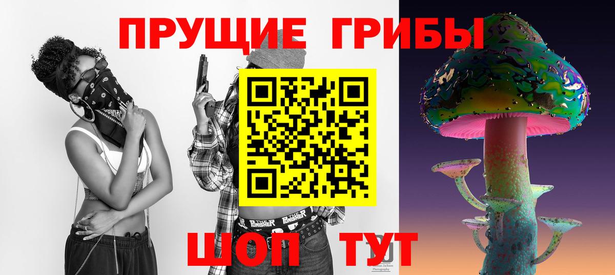 Черкесск  Псилоцибиновые грибы Psilocybe  Вход с VPN 